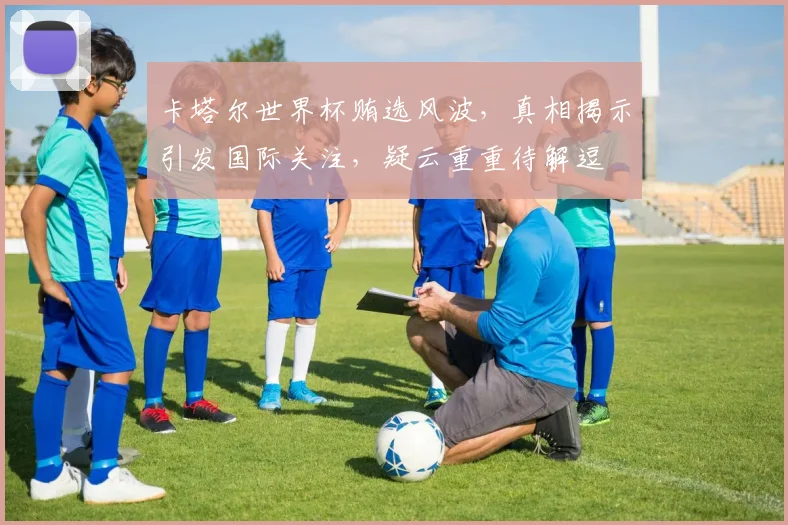 卡塔尔世界杯贿选风波，真相揭示引发国际关注，疑云重重待解逗