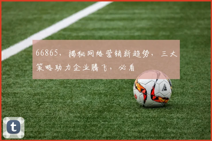 66865，揭秘网络营销新趋势，三大策略助力企业腾飞，必看