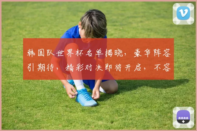 韩国队世界杯名单揭晓，豪华阵容引期待，精彩对决即将开启，不容错过