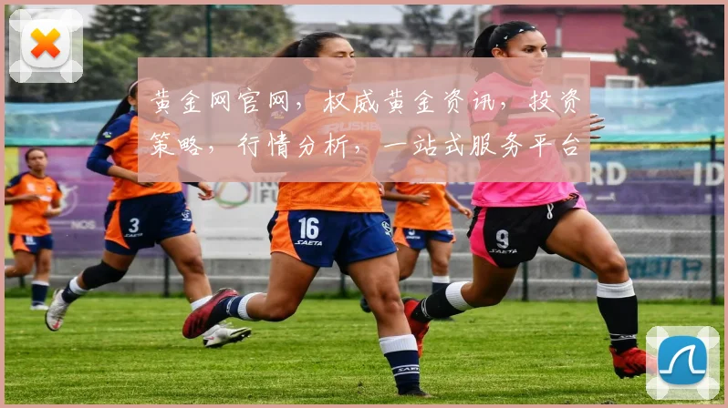 黄金网官网，权威黄金资讯，投资策略，行情分析，一站式服务平台，专业解读，实时更新，三重保障